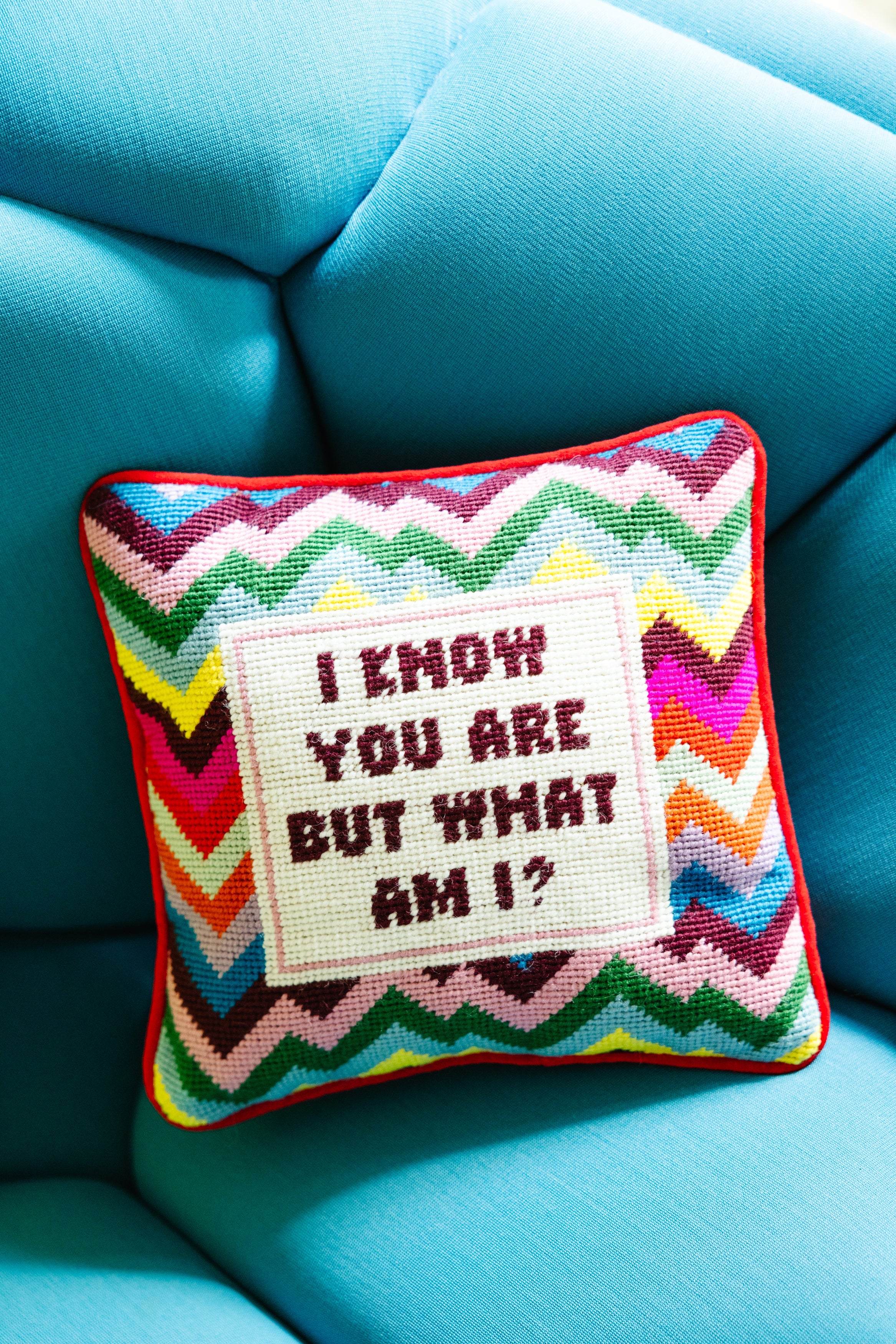 Get What You Get Needlepoint Pillow