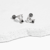 Tini Lux Mini Coco Screw Back Stud Earrings